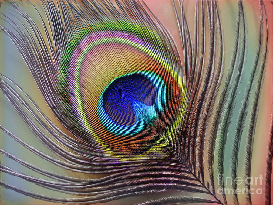 Peacock Photograph - Peacock Feather by Savannah Gibbs