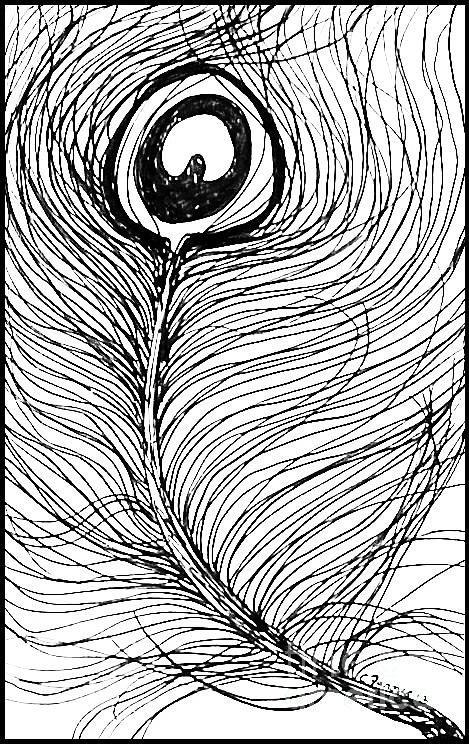 peacock – Art By Breah