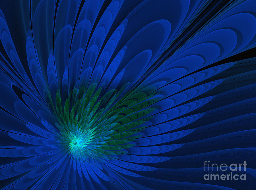 Peacock Feathers .. fractal Photograph by Elaine Manley