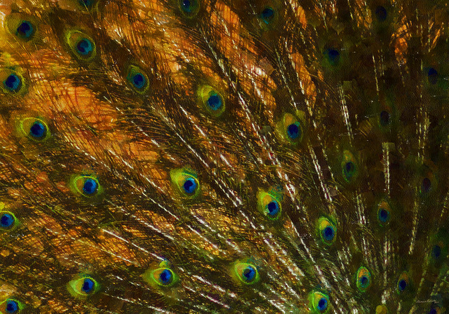 Peacock Digital Art - Peacock Feathers 2 by Ernest Echols