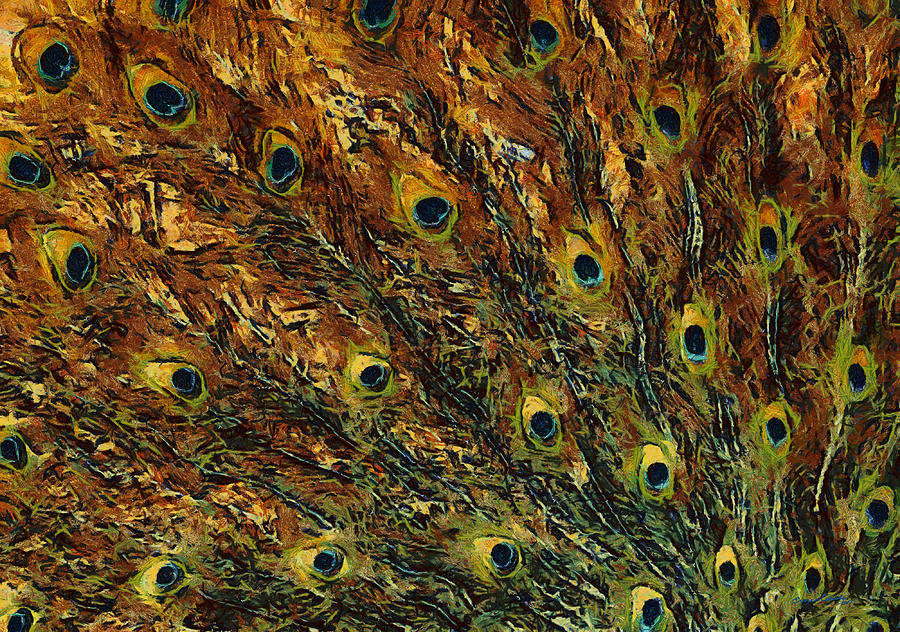 Peacock Feathers Digital Art by Ernest Echols