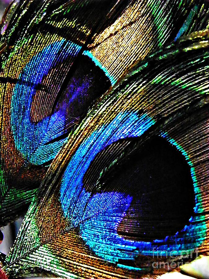 Peacock Photograph - Peacock Feathers by Sarah Loft