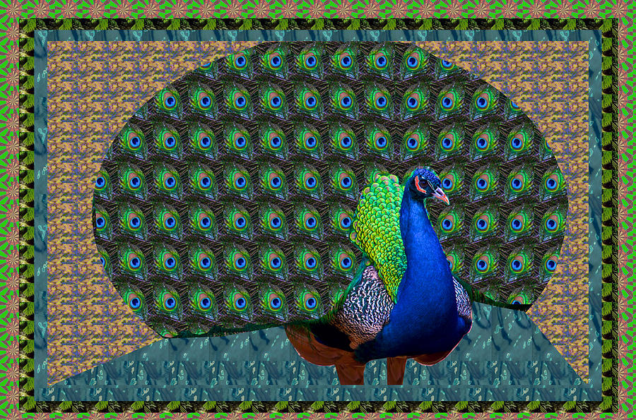 Peacock Mixed Media - Peacock Graphic design based on photographic image artist NavinJOSHI by Navin Joshi