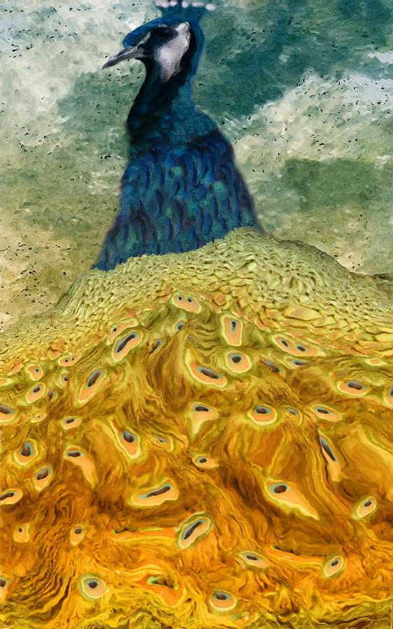 Pheasant Painting - Peacock by Jack Zulli