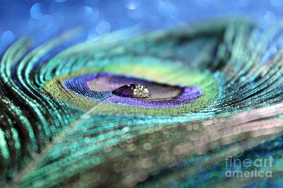 Peacock Jewel Photograph by Krissy Katsimbras