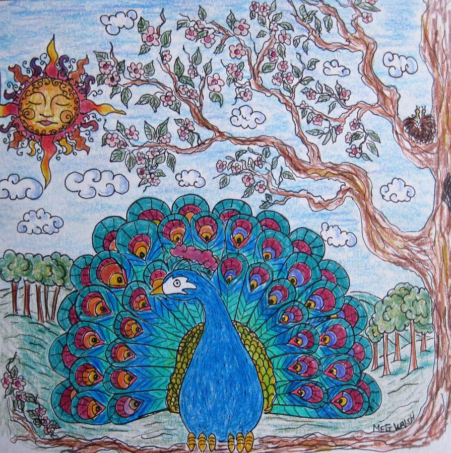 Peacock Drawing by Megan Walsh