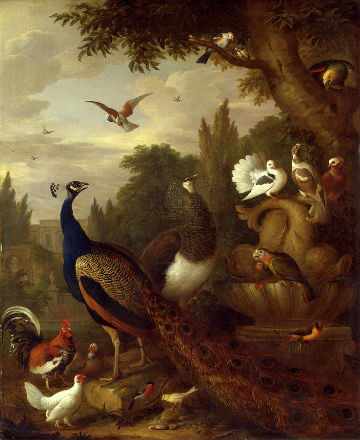Rooster Painting - Peacock, Peahen, Parrots, Canary, And Other Birds In A Park by Litz Collection