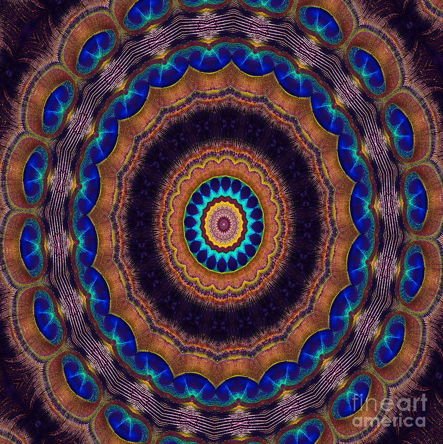 Peacock Pinwheel Digital Art by Bel Menpes