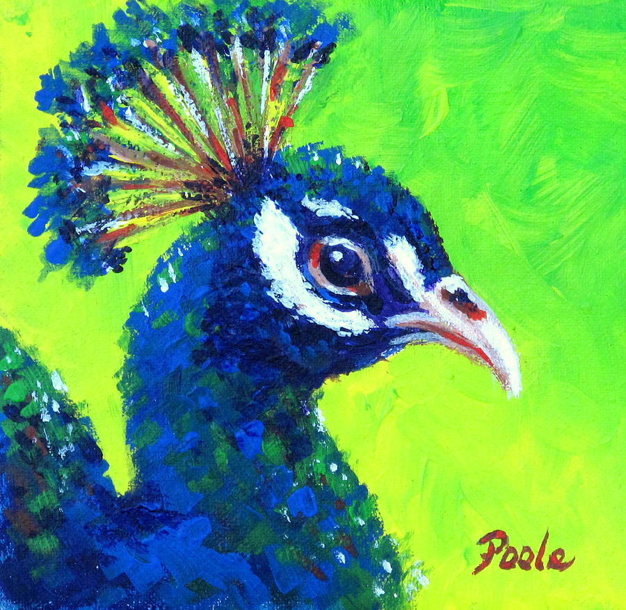 Peacock Portrait Painting by Pamela Poole