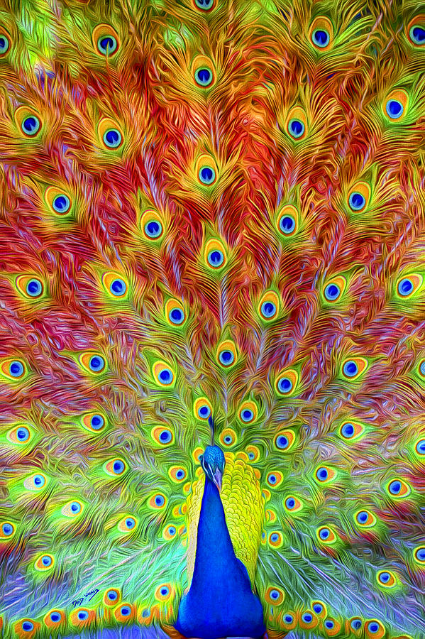 Peacock Power Painting by David Wagner