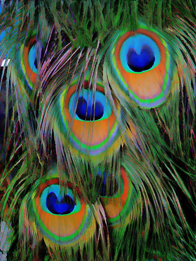 Peacock Pride Digital Art By Anne Sterling Fine Art America