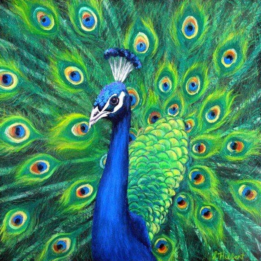 Peacock Painting by Sheila Hibbert - Pixels