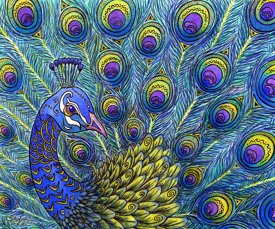 Peacock Drawing By Stephanie Kiker - Fine Art America