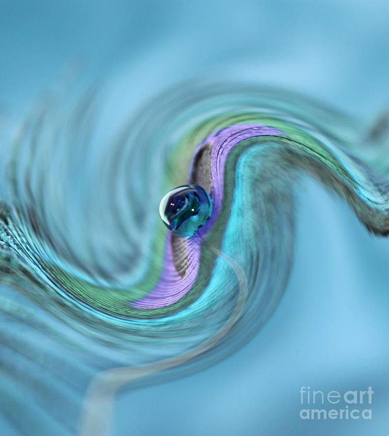 Peacock Swirl Photograph by Krissy Katsimbras