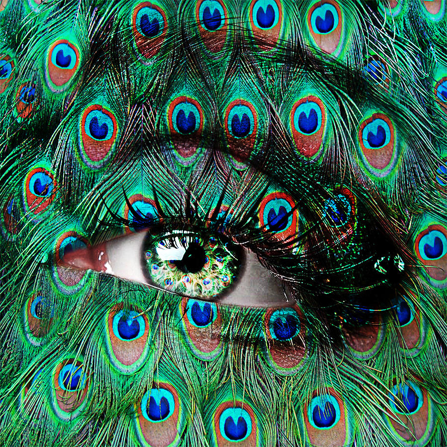 Peacock Photograph - Peacock by Yosi Cupano