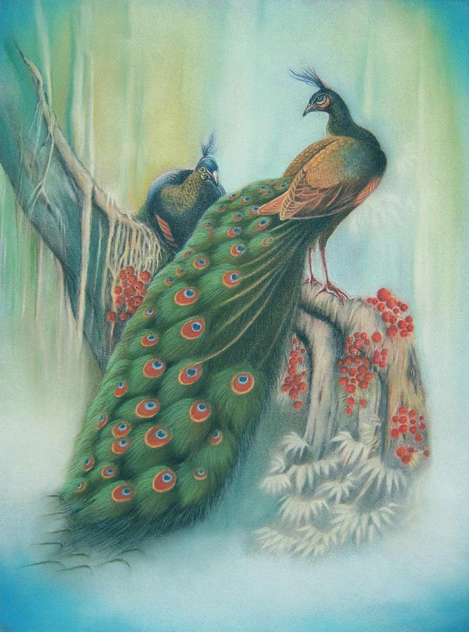 Peacock Drawing - Peacocks by Amani Warrington