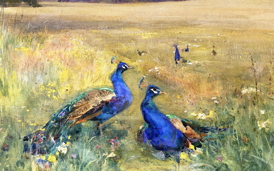 Peacock Painting - Peacocks in a Field by Mildred Anne Butler