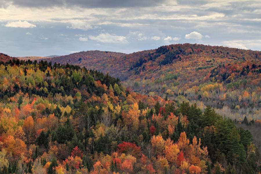 Peak Autumn colors on the East coast Photograph by Pierre Leclerc Photography