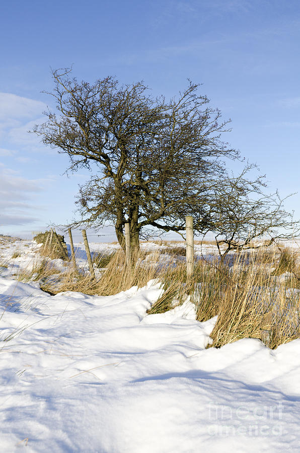 Peak District winter Photograph by Steev Stamford