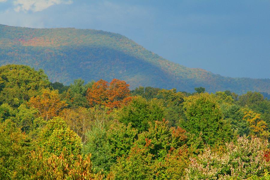 Peak Season Colors Photograph by Beth Andersen - Fine Art America