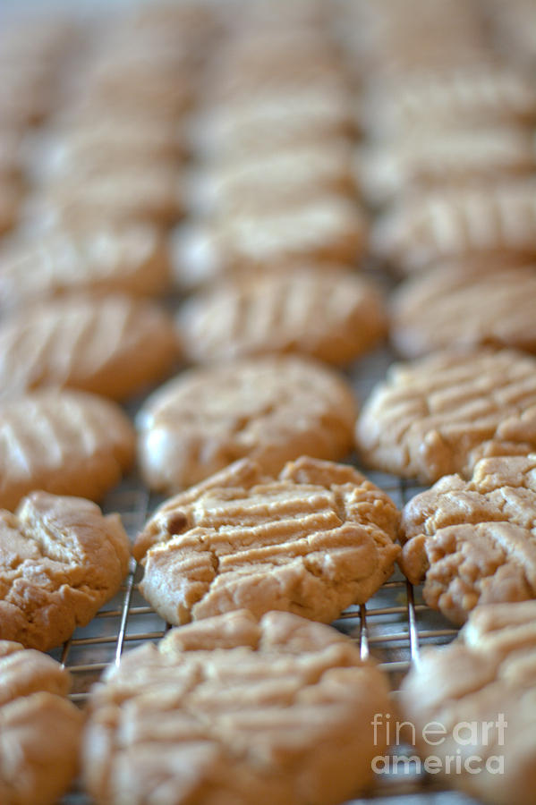 Peanut Butter Cookies Photograph by Cheryl Baxter