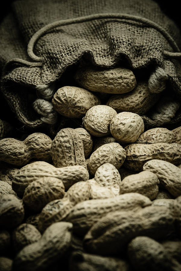 Peanuts In A Gunny Sack I Photograph by Marco Oliveira