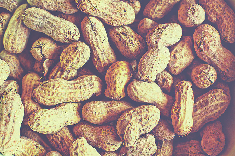 Peanuts Photograph by Julia Goss