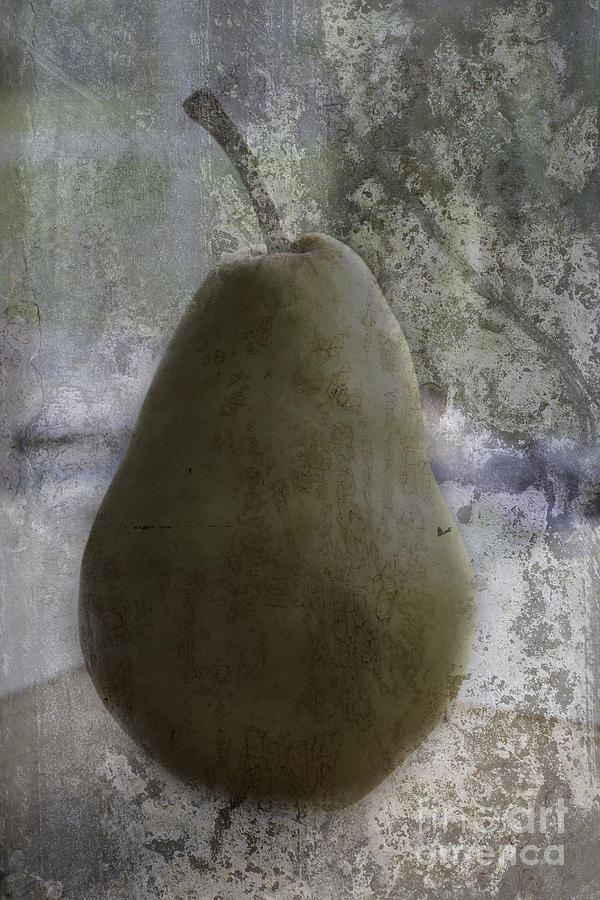 Pear Photograph by Arlene Carmel