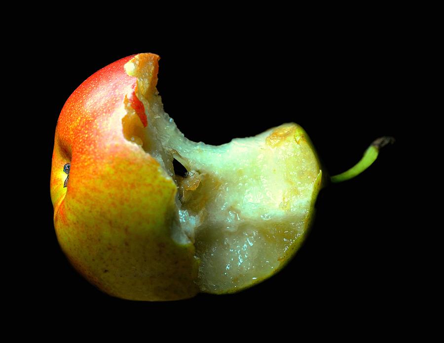 Fruit Photograph - Bartlett Pear Bite by Diana Angstadt