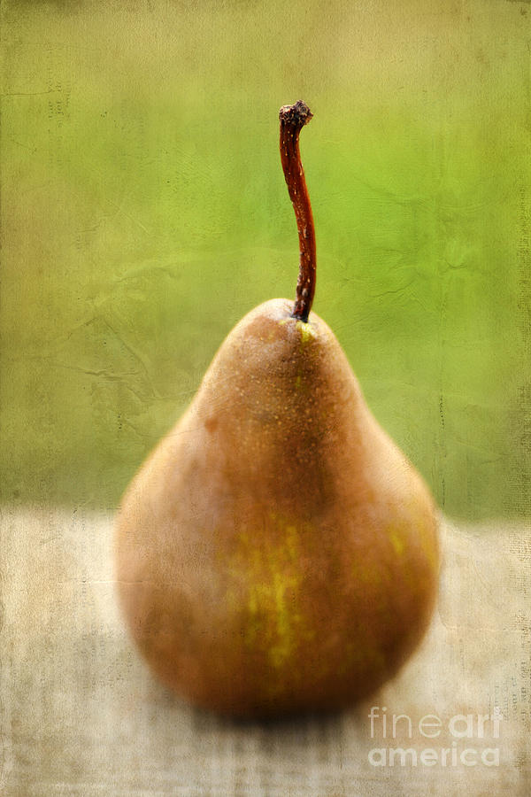 Pear Photograph by Darren Fisher