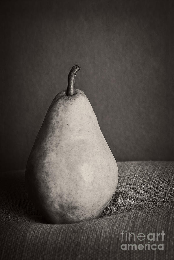 Still Life Photograph - Pear by HD Connelly