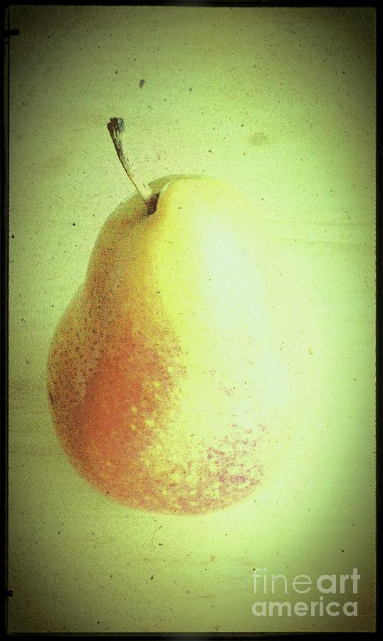 Summer Pear Photograph by Jacqueline McReynolds