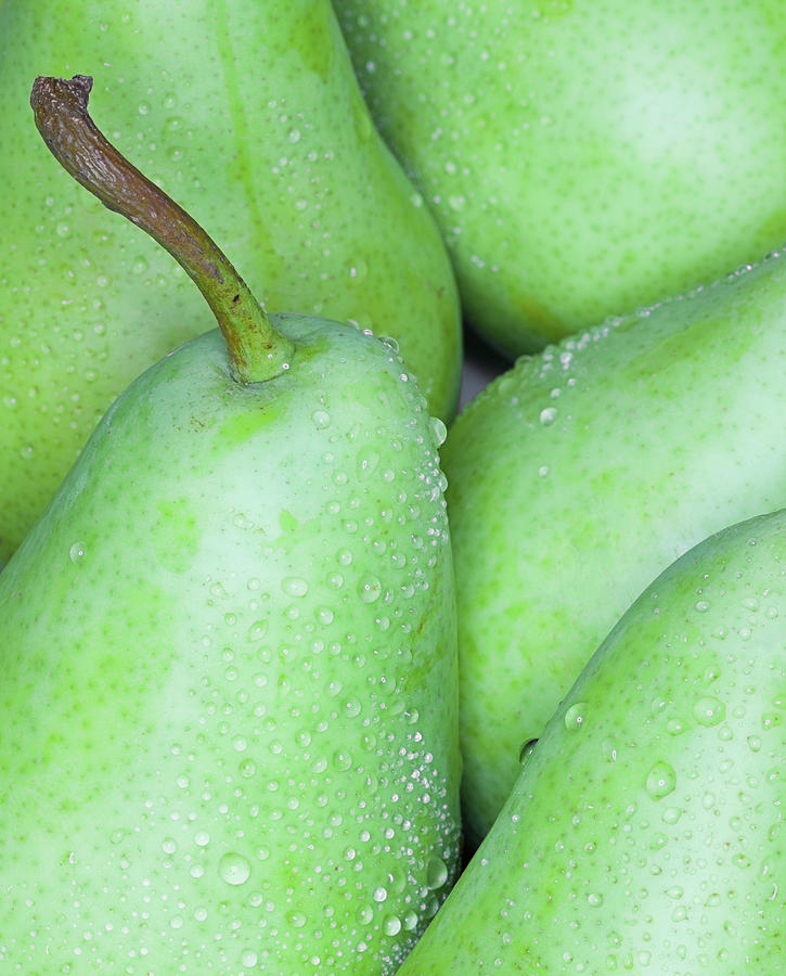 Pear Photograph by Photographykm