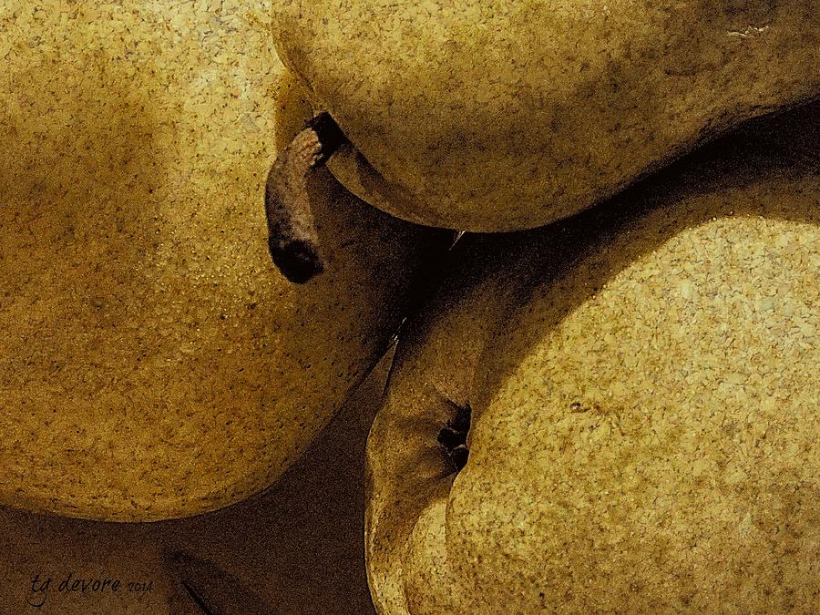 Pear Stem Digital Art by Tg Devore