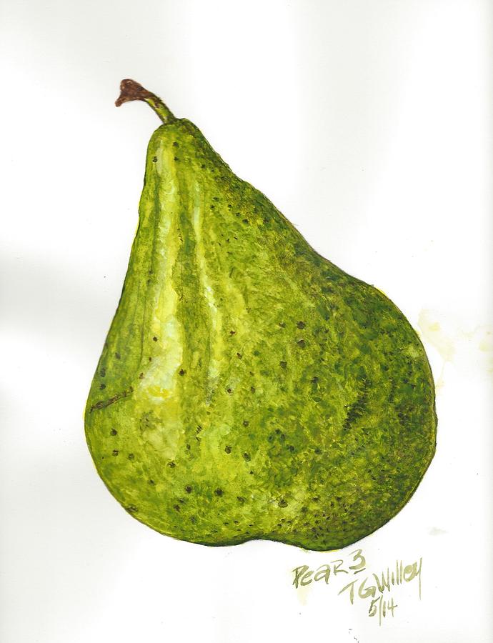 Pear Study#3 Painting by Toni Willey