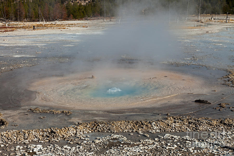 Pearl Geyser at Norris Geyser Basin Photograph by Fred Stearns