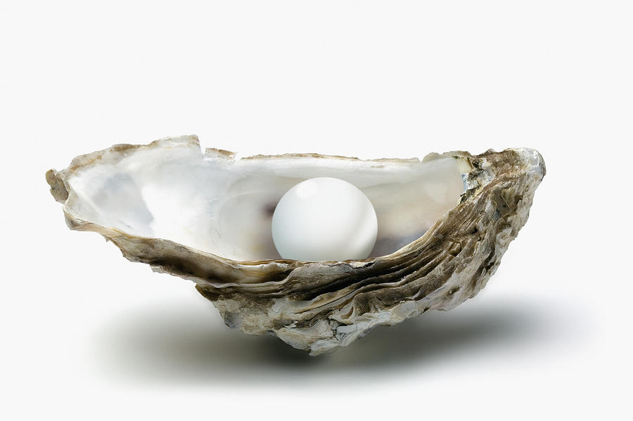 Pearl in oyster shell, close-up Photograph by GSO Images