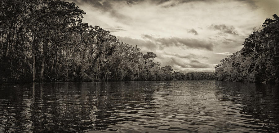 Pearl River Sepia Photograph by Diana Powell