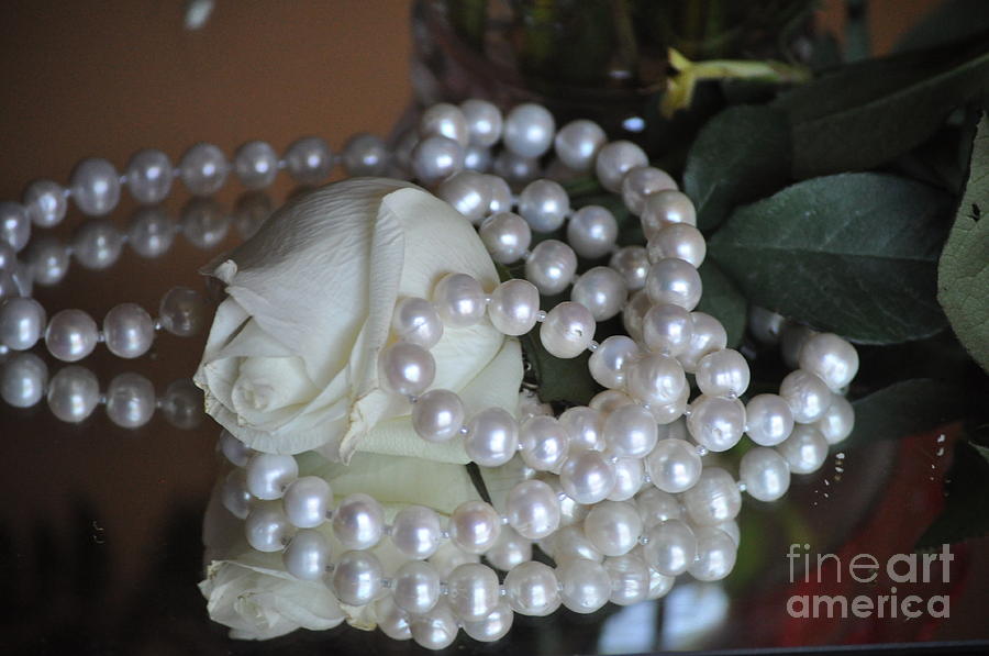 Pearls and Roses Photograph by Nona Kumah