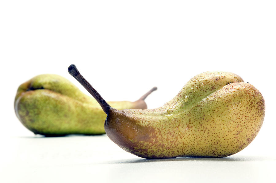 Pears Photograph by Daniel Sambraus/science Photo Library Fine Art