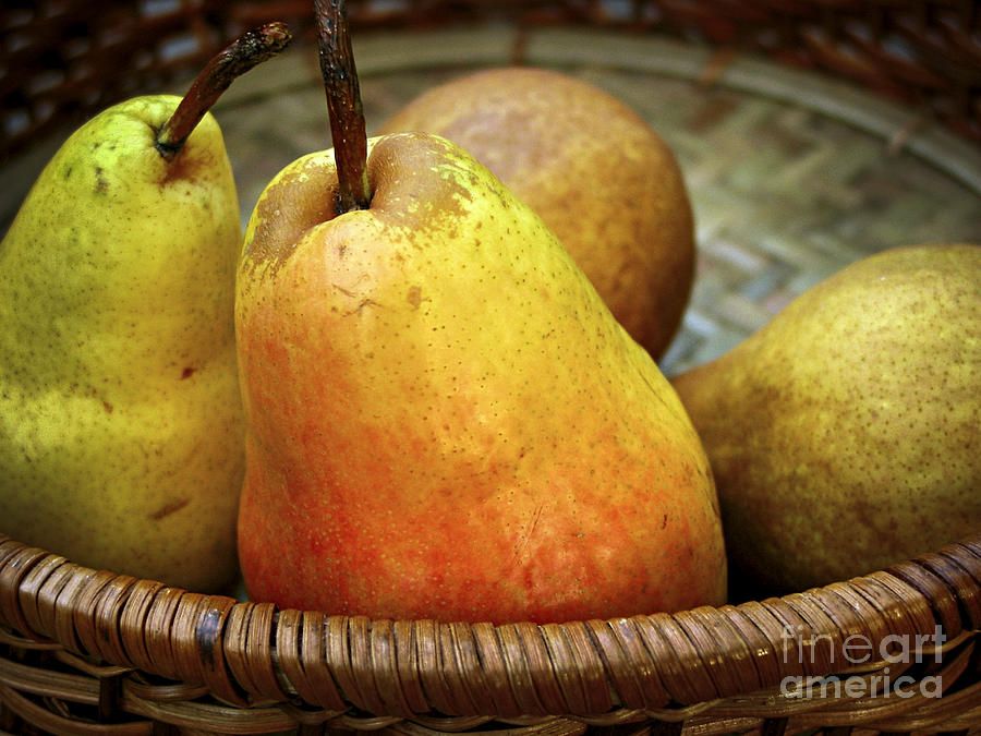 Pear Photograph - Pears in a basket by Elena Elisseeva