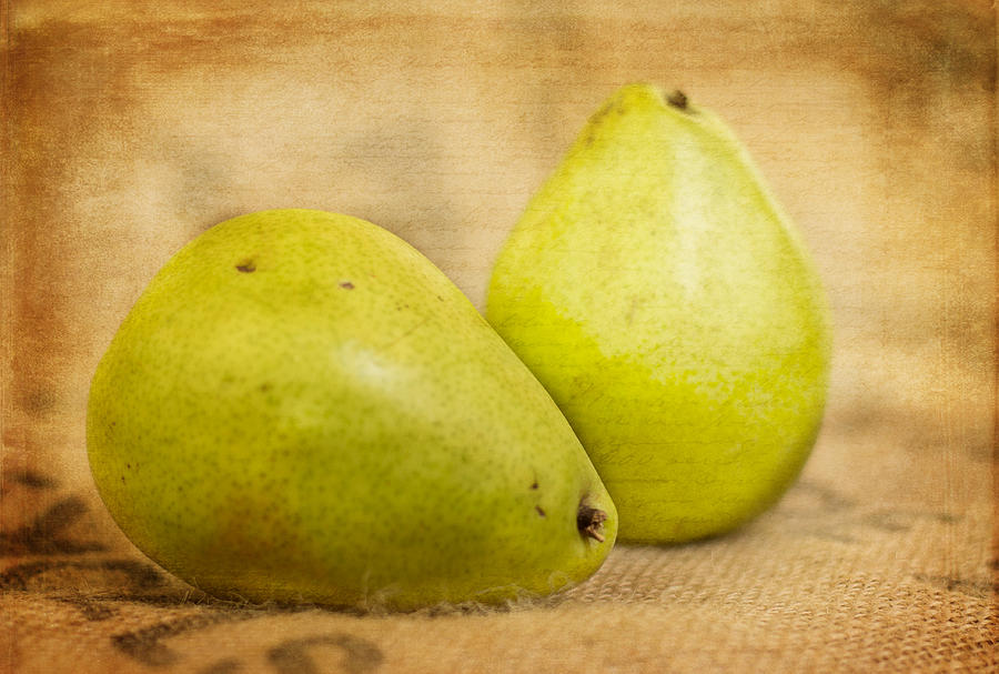 Pear Photograph - Pears  by Jennifer Goodrich