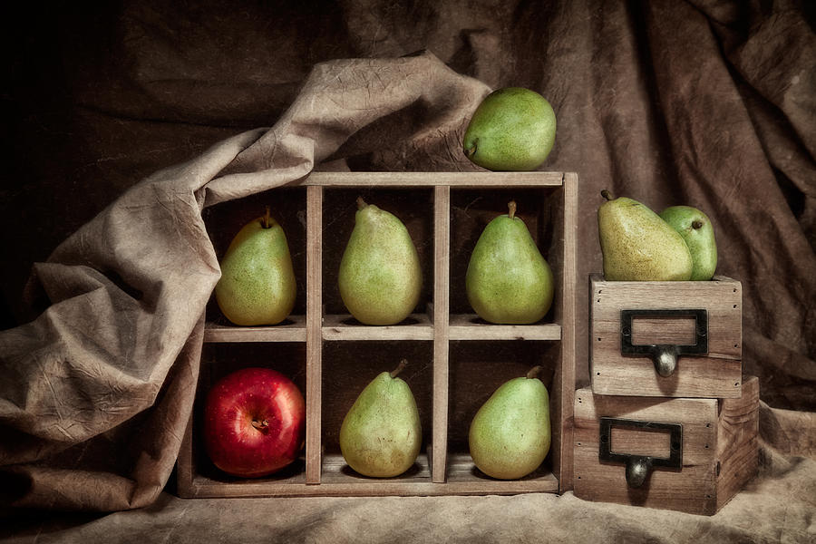 Abundance Photograph - Pears on Display Still Life by Tom Mc Nemar Abundance Photograph - Pears on Display Still Life by Tom Mc Nemar