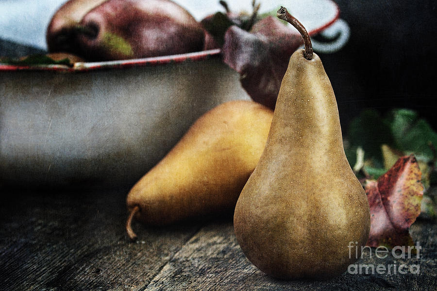 Pears Photograph by Stephanie Frey