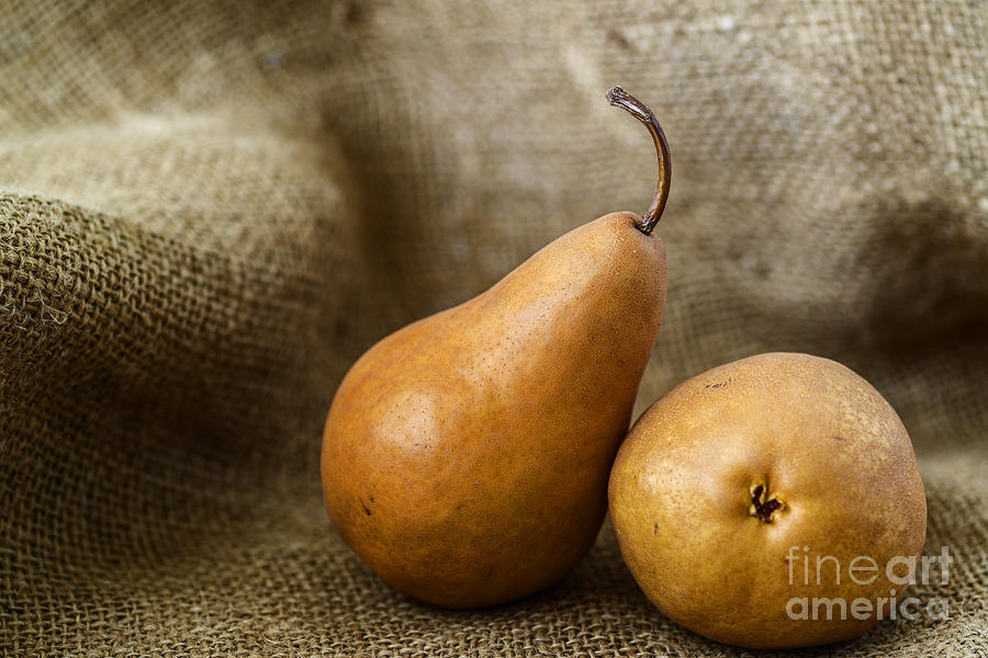 Pears still life Photograph by Vishwanath Bhat