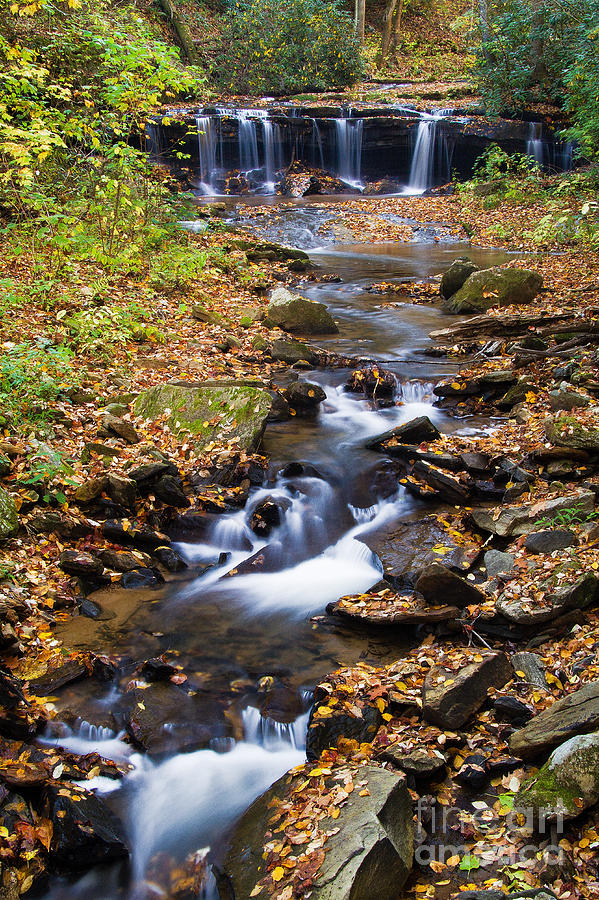 Pearson Falls Blue Ridge Mountains North Carolina Photograph by Dawna Moore Photography