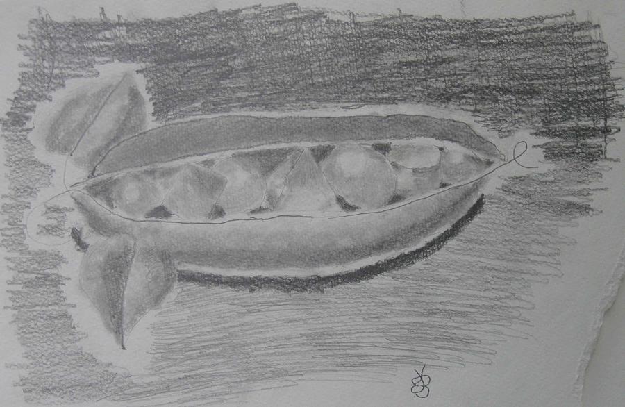 Peas in a Pod Drawing by AJ Brown