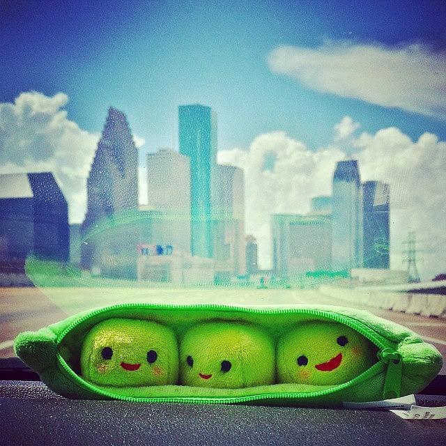 Houston Photograph - Peas In A Pod.
#toystory #dthtx #htx by Marco Torres