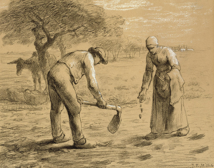 Peasants planting potatoes Drawing by JeanFrancois Millet Fine Art