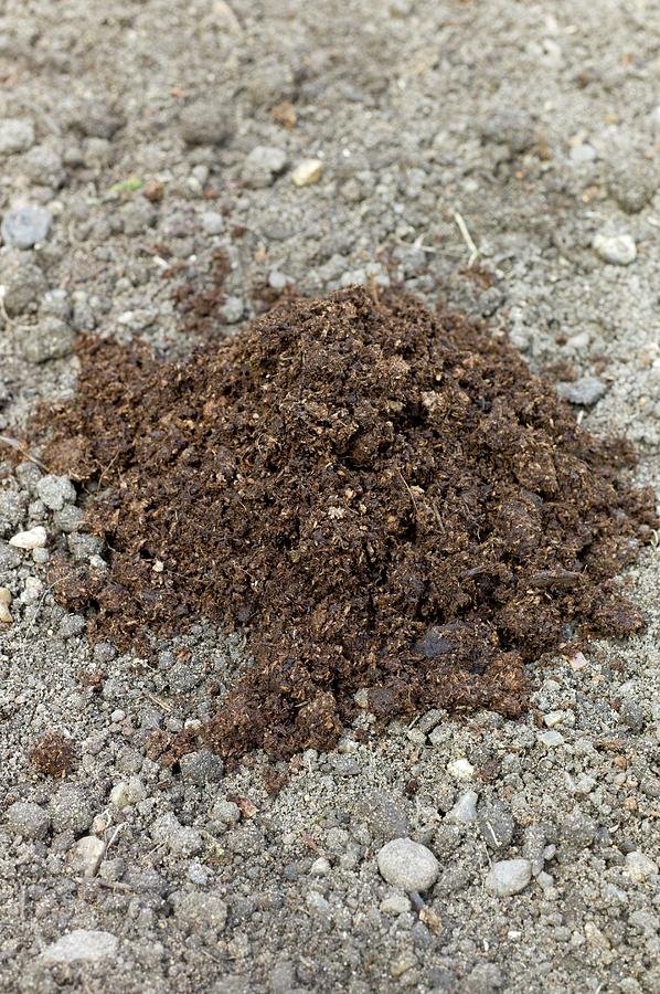 Peat-based Horticultural Compost Photograph by Dr Jeremy Burgess | Fine ...